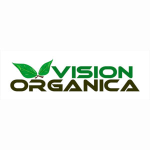 Inicio logo vision